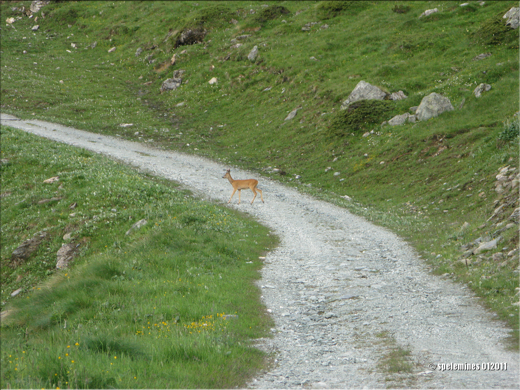 djuillet2010 (2)