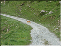 djuillet2010 (2)