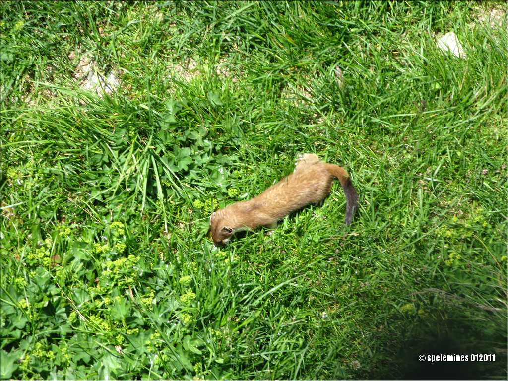 djuillet2010 (7)