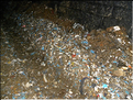 goctobre2010 (10)